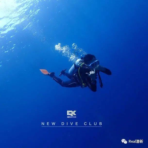 逃离小怪世界
